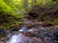 Park Narodowy Cape Breton Highlands
